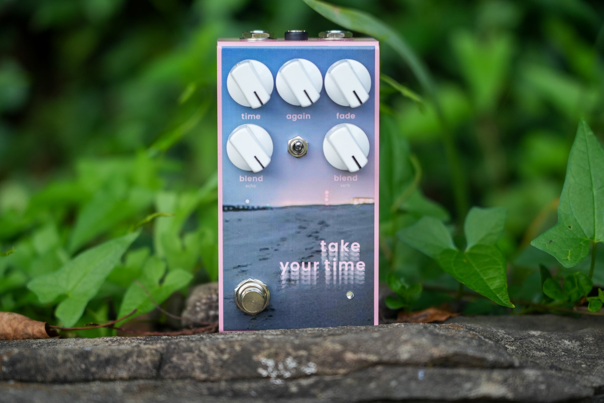 Take Your Time - Delay / Reverb (PINK!)